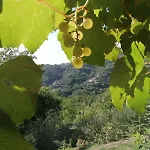 Antica Torre Velva