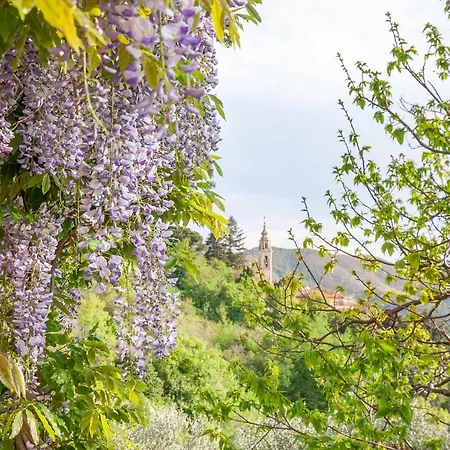 Antica Torre Velva