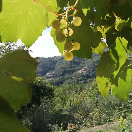 Antica Torre Velva