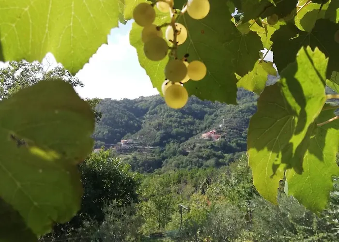Antica Torre Velva